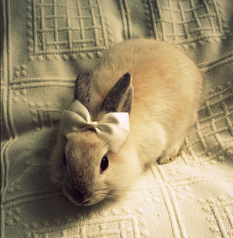 學齡前寶寶睡前故事 等待