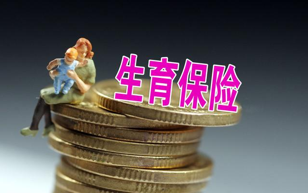 生育保險和醫保合并靈活就業人員會增加生育保險費用嗎 生育保險和醫保合并什么時候全面落實