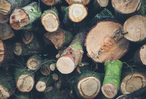 二手童書如何消毒 給寶寶買二手童書好不好