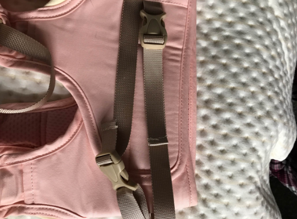 海豚星學步帶好不好 海豚星學步帶用起來感覺怎么樣 海豚星學步帶好不好 海豚星學步帶用起來感覺怎么樣