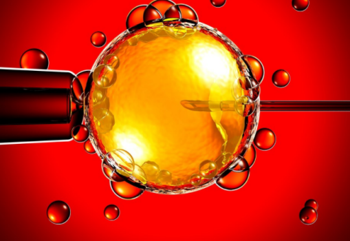 試管嬰兒取卵前要做哪些準(zhǔn)備 試管嬰兒取卵后注意事項