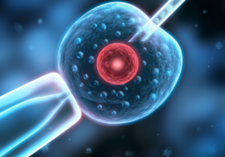 試管嬰兒取卵前要做哪些準備 試管嬰兒取卵后注意事項