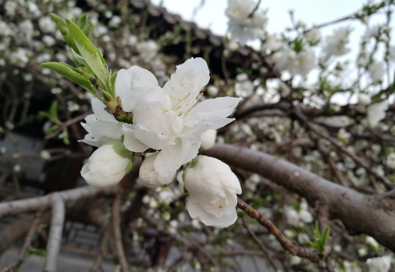 每天保持好心態的說說 每天保持好心態句子 每天保持好心態的說說 每天保持好心態句子