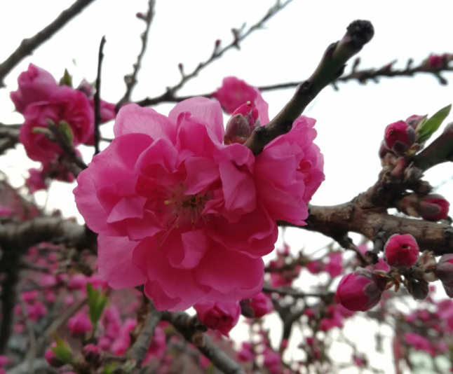 每天保持好心態的說說 每天保持好心態句子 每天保持好心態的說說 每天保持好心態句子