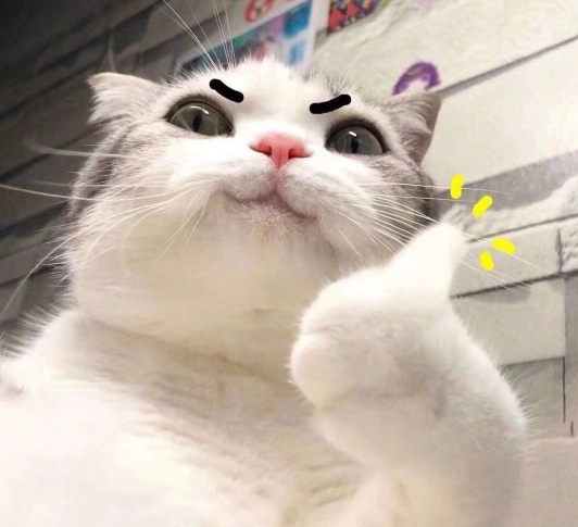 每天保持好心態的說說 每天保持好心態句子 每天保持好心態的說說 每天保持好心態句子