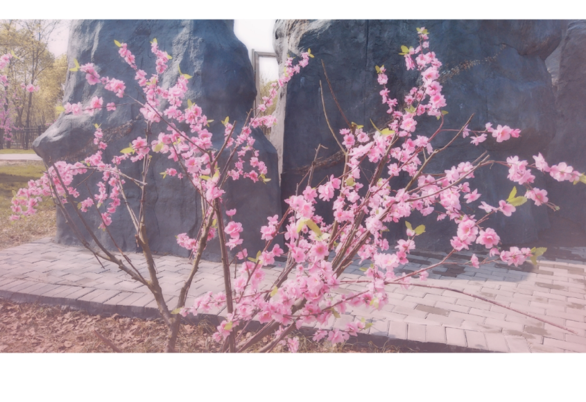 樂觀心態的句子怎么寫 樂觀心態的說說朋友圈 樂觀心態的句子怎么寫 樂觀心態的說說朋友圈