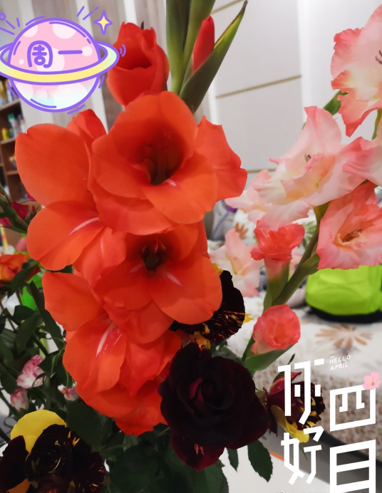 放寬心態(tài)的經(jīng)典語錄 放寬心態(tài)的句子說說