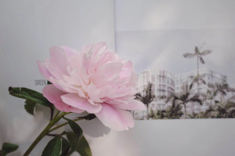 放寬心態正能量的說說 放寬心態發什么說說朋友圈