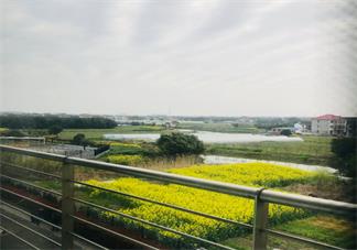 放寬心態看淡一切的心情 放寬心態的心情感慨朋友圈