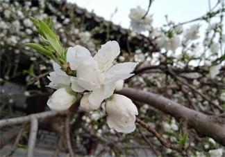 每天保持好心態的說說 每天保持好心態句子