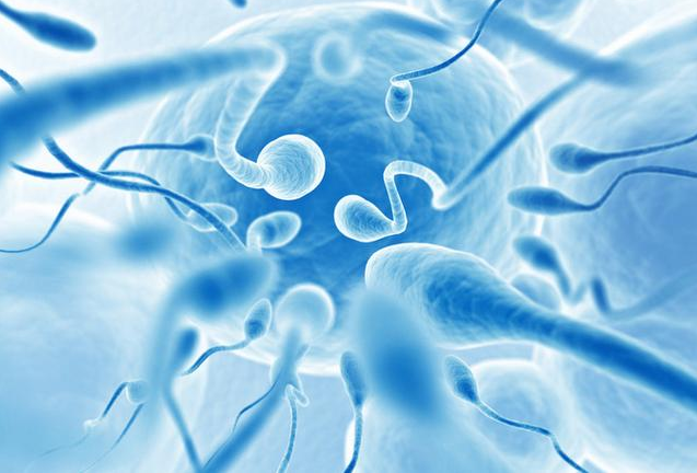 春季備孕真的不好嗎 春天備孕要做好這些事