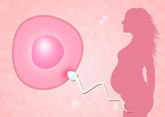 大齡備孕檢查項目有哪些 大齡備孕要注意什么2019