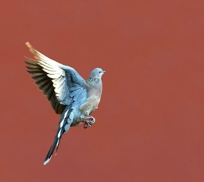 心態(tài)平靜心情感慨 心態(tài)平靜的說(shuō)說(shuō)朋友圈