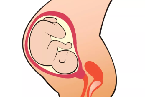 幾種不易留住孩子的體質 容易流產的幾種體質