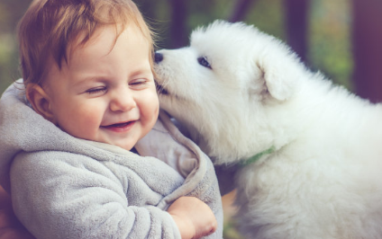 2019年給豬寶寶起名的方法 這些爛大街的名別用了