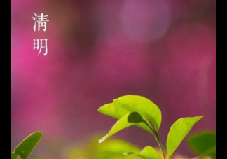 清明節聰明的家長都帶孩子做這幾件事 清明適合帶孩子干什么