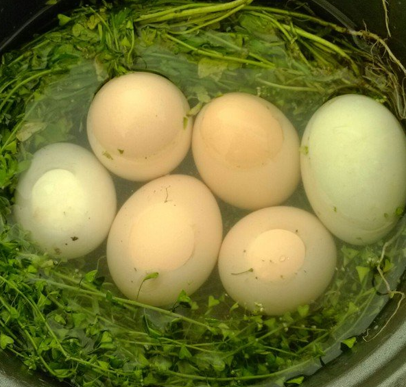 三月三是什么節日 為什么三月三會放假 三月三是什么節日 為什么三月三會放假