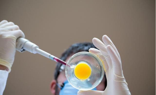 基因編輯食品和轉基因食品是一回事嗎 對傳統食物有什么影響