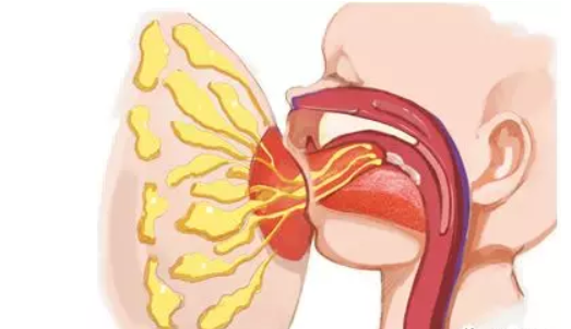 乳腺炎膿腫排膿期間能喂奶嗎 乳腺炎膿腫刺抽出膿液能哺乳嗎