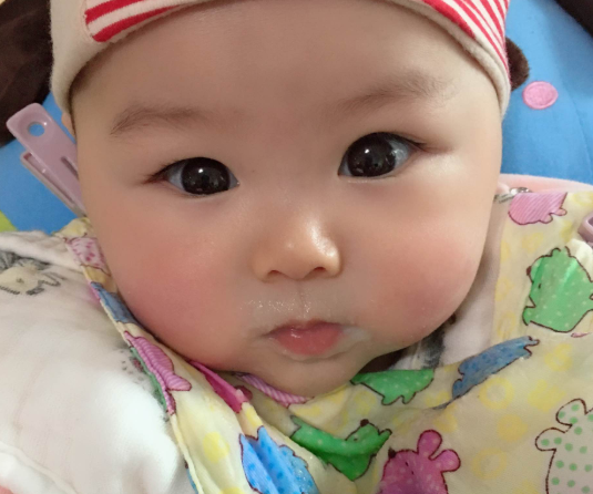 愛思貝燕麥米粉和嘉寶哪個好 愛思貝米粉和嘉寶對比測評