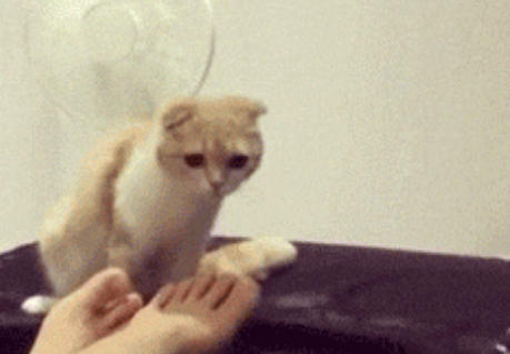 中國有18例確認真菌感染 真菌感染是怎么引起的