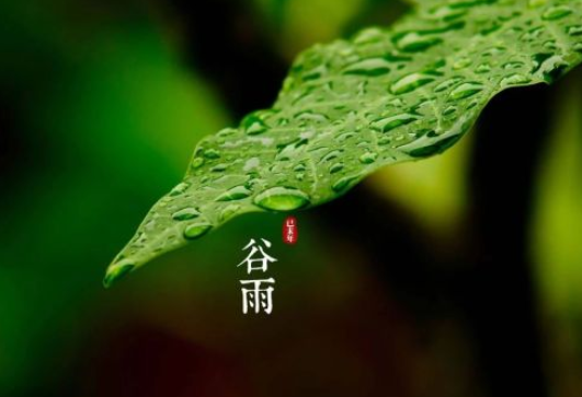 谷雨節氣的詩詞有哪些 關于谷雨的古詩大全