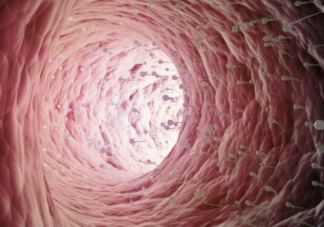 輸卵管介入疏通后會再次阻塞嗎 輸卵管介入成功率高嗎