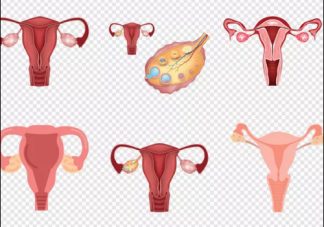 輸卵管介入疏通可以做第二次嗎 如何保持不阻塞