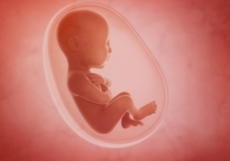 胎兒的作息時間和準媽媽一樣嗎 孕婦睡覺胎兒在干什么