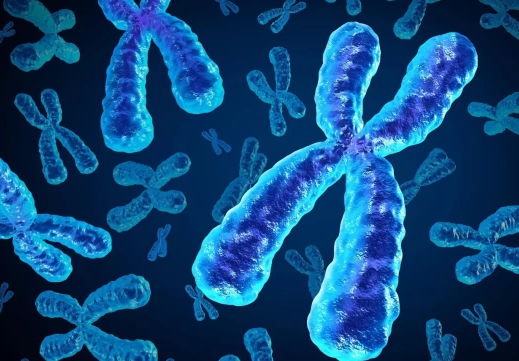 哪些因素會增加卵巢癌風險 卵巢癌發病因素有哪些 哪些因素會增加卵巢癌風險 卵巢癌發病因素有哪些