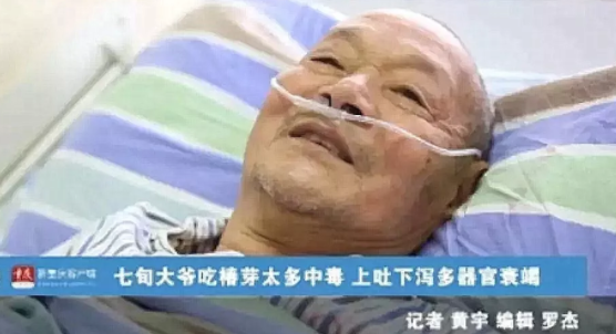 香椿炒雞蛋中毒是怎么回事 這些菜吃前一定要焯水