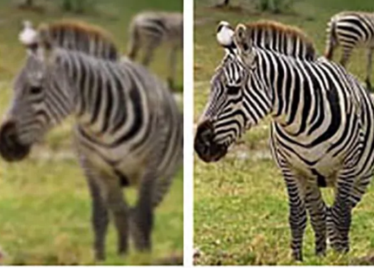 寶寶弱視和近視的區別 弱視和近視有什么不同