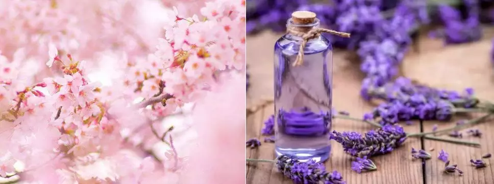 媽媽失眠情況嚴重怎么緩解 用什么方法促進睡眠