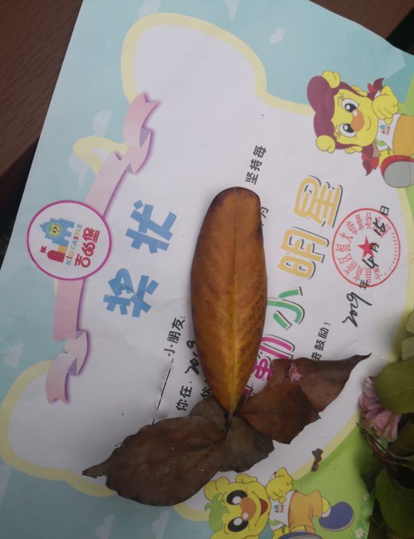 關于童真的唯美句子 天真爛漫的童真朋友圈