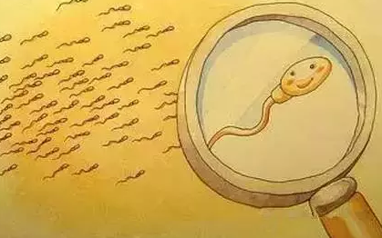 精液像果凍一樣的男性要注意了 精液異常有哪些表現