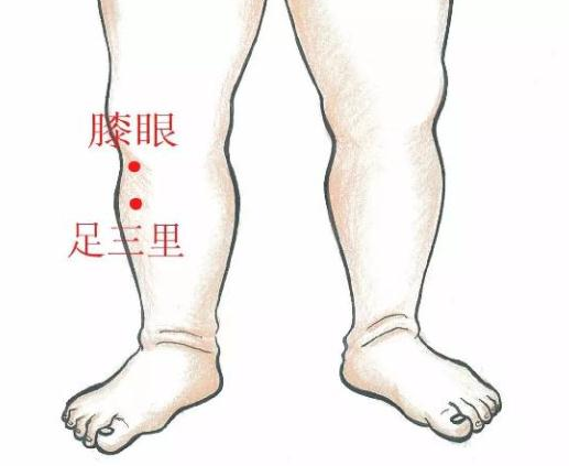 春季孩子長高捏哪里好 小兒推拿長高方法 春季孩子長高捏哪里好 小兒推拿長高方法