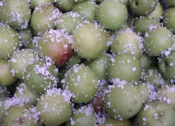 懷孕孕婦能吃青梅嗎 懷孕初期可以吃青梅嗎