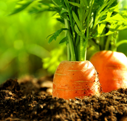 孩子生病要忌口哪些食物 忌口孩子要避開哪些食物