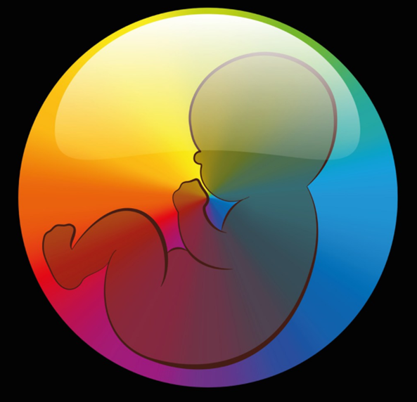 胎兒作息和準媽媽一樣嗎 胎兒作息和孕媽有什么區別 胎兒作息和準媽媽一樣嗎 胎兒作息和孕媽有什么區別