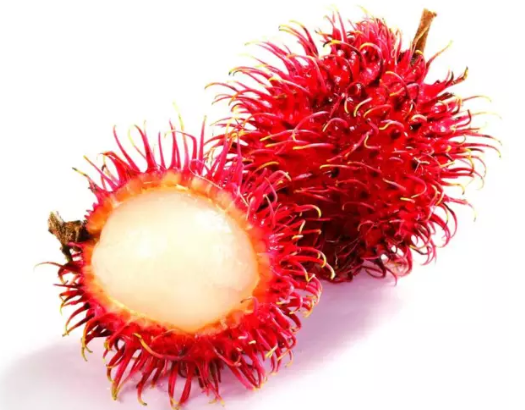 嬰幼兒期能吃紅毛丹嗎 多大的寶寶能吃紅毛丹