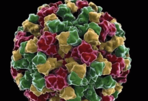 諾如病毒什么時候去醫(yī)院 諾如病毒可以吃什么藥 諾如病毒什么時候去醫(yī)院 諾如病毒可以吃什么藥