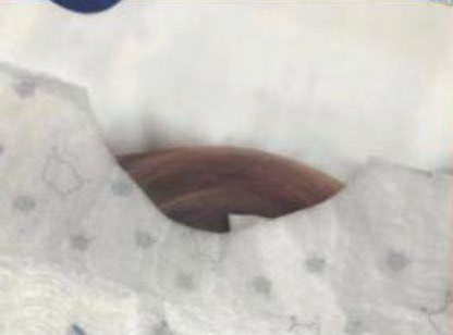 子初柔護紙尿褲怎么樣 子初柔護紙尿褲試用測評