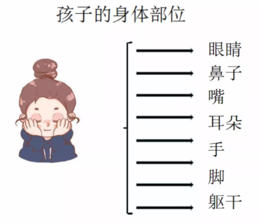 孩子思維導(dǎo)圖怎么畫 思維導(dǎo)圖畫法大全 孩子思維導(dǎo)圖怎么畫 思維導(dǎo)圖畫法大全