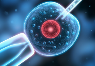 試管嬰兒生男生女可以選擇嗎 試管嬰兒可以選男女性別嗎