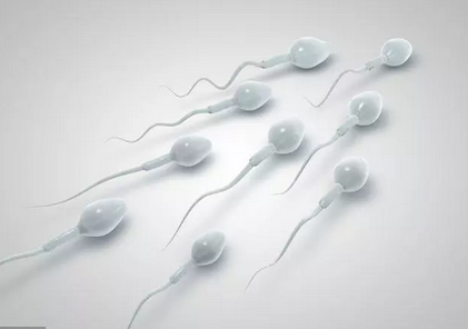 男性在什么時(shí)候會喪失生育能力 男性生育最佳年齡時(shí)間