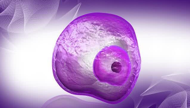 受精卵著床白帶會拉絲嗎 受精卵著床白帶有什么變化