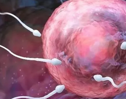 受精卵著床需要幾天 受精卵著床一定會出血嗎