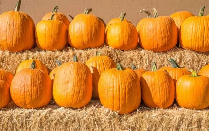 孩子吃南瓜有什么好處 南瓜輔食怎么做 孩子吃南瓜有什么好處 南瓜輔食怎么做