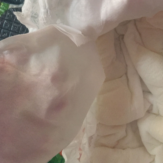 舒比奇成長(zhǎng)褲和好奇鉑金哪個(gè)好 舒比奇大魚(yú)騎士成長(zhǎng)褲測(cè)評(píng)