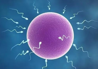 男性在什么時候會喪失生育能力 男性生育最佳年齡時間